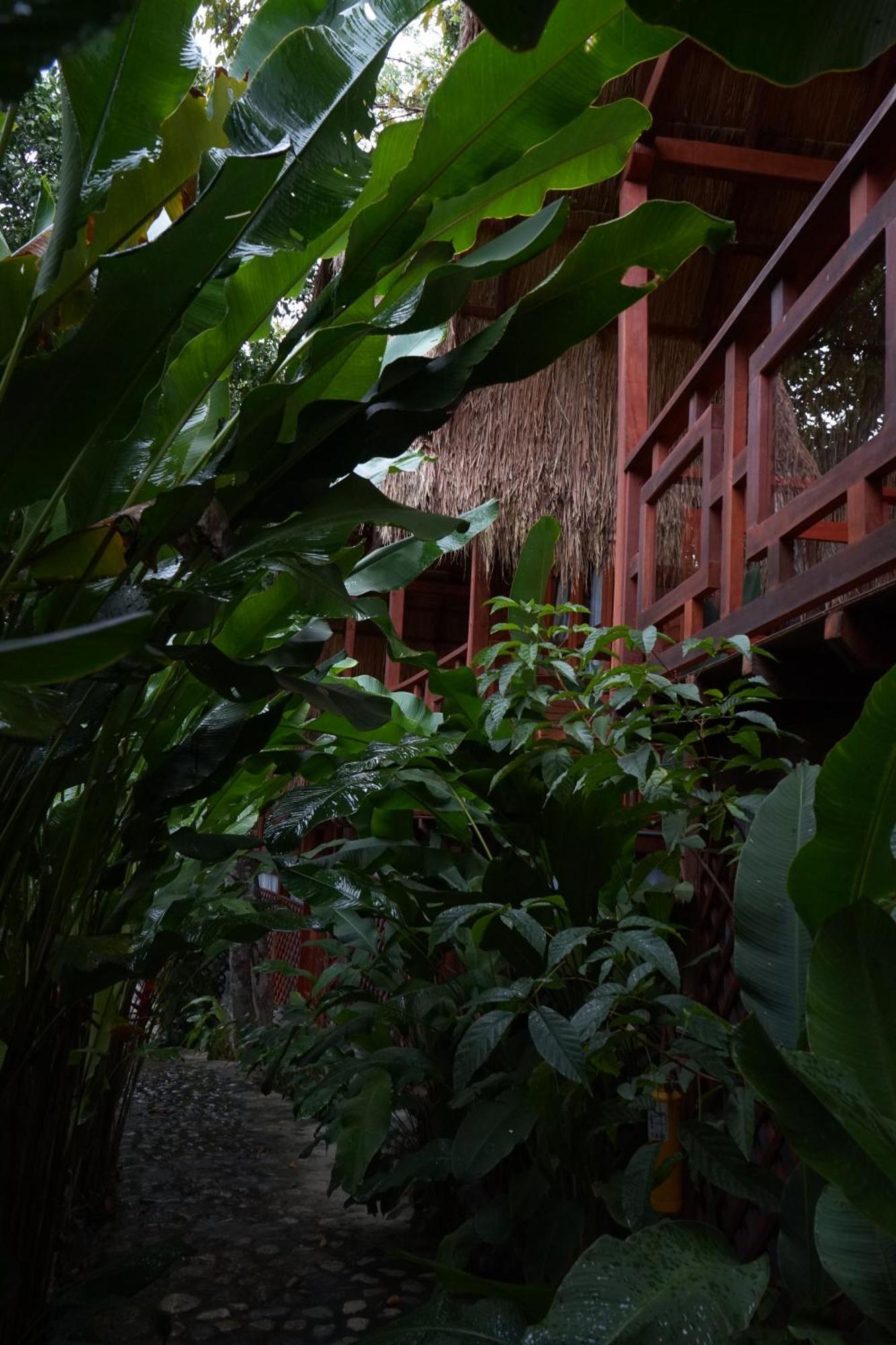 Bio Rio Hotel San Jerónimo Eksteriør billede